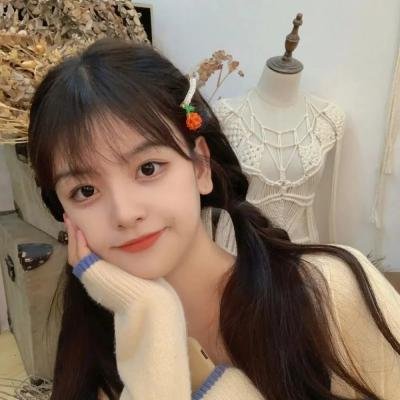 陆昭昭的刺客笔记